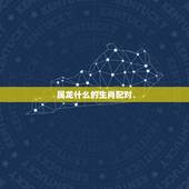属龙什么的生肖配对，属龙的男人性厉害吗