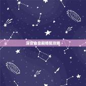 深宫曲皇嗣婚配攻略，易次元深宫曲皇子野心太高怎么办？