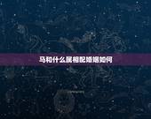 马和什么属相配婚姻如何，马肖和什么生肖最配