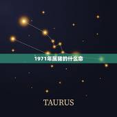 1971年属猪的什么命，1971年的是什么命