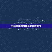 85年属牛的今年多大年龄多少，85年今年多大？