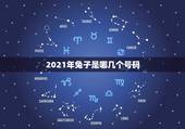 2021年兔子是哪几个号码，属兔子的2021年今年多大