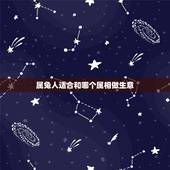 属兔人适合和哪个属相做生意，属羊的与属兔的合伙做生意好吗