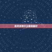 赶尽杀绝什么属相最好，赶尽杀绝不放宽？是什么生肖