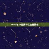 1972年11月属什么生肖属相，72年11月25是什么属相