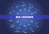 属虎人的命运如何，属虎的今年命运如何