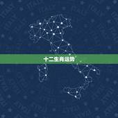 十二生肖运势，2007十二属相运程