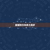 属猪的今年多大周岁，属猪的今年60几岁了