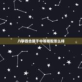 八字四合属于中等婚配怎么样，八字合婚合了四个。不知道算不算好呢？