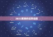 2022属猪的运势运程，2021年属猪的全年运程
