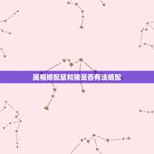 属相婚配鼠和猪是否有法婚配，属猪与属鼠相配吗