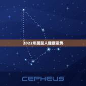 2022年属鼠人健康运势，2021年属鼠人的全年运势1984出生