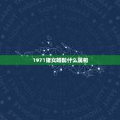 1971猪女婚配什么属相，婚姻属相最佳配偶女猪1971适合找什么属相的