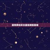 属狗男和羊女最佳婚配属相，男的属羊和女的属狗生个什么属相最好？
