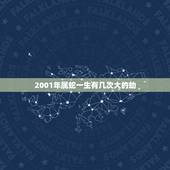 2001年属蛇一生有几次大的劫，92女猴和什么生肖最配