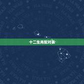 十二生肖配对表，十二生肖属性及最全配对表