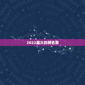 2022最火的网名男，2023年最热门的网名