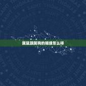 属鼠跟属狗的姻缘怎么样，男属狗和女属鼠相配婚姻如何