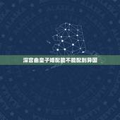 深宫曲皇子婚配能不能配到异国，《深宫曲》怎么玩？