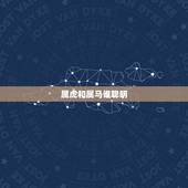 属虎和属马谁聪明，属马和属虎的人合财气