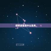 招才进宝是什么生肖，招财进宝什么生肖