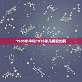 1985年牛和1978年马婚配如何，78年属马的和85年属牛的相配吗？