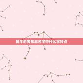 属牛的男孩起名字带什么字好点，属牛男孩取名字寓意好的字