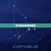 男方属蛇的最佳婚配 男蛇找对象找什么最好