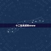 十二生肖资料www，90版十二生肖电影
