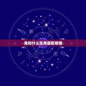 兔和什么生肖最配婚姻，兔跟马属相合不合