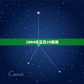 2004年正月29属相，农历正月29属什么星座