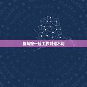 猪与蛇一起工作对谁不利，猪和蛇一起工作好不好