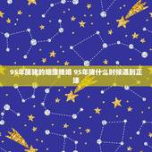 95年属猪的姻缘晚婚 95年猪什么时候遇到正缘