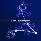 白马十二属相婚配是什么，属马的属相婚配表是怎样的？