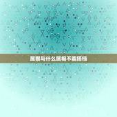 属猴与什么属相不能搭档，属相运程属龙之人与属猴之人能做搭档吗