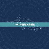 1987年属兔人的婚配，87年属兔的和什么属相最配