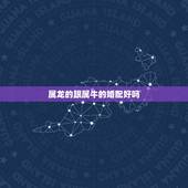 属龙的跟属牛的婚配好吗，生肖龙与牛相配吗？