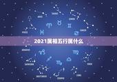 2021属相五行属什么，2021年辛丑年五行属什么