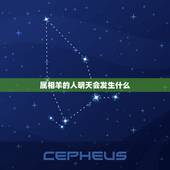 属相羊的人明天会发生什么，生肖羊五行属什么，属羊的五行