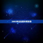 2003年出生属羊男孩命，2003年出生的羊2022 年运势