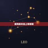 属狗属羊是上等婚姻，91羊是94狗的贵人