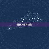 属鼠人猴年运势，猴年属虎和属鼠的人合作做生意运势。