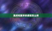 属虎和属羊的婆媳怎么样，男虎女马婚配怎么样