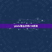 pixiv怎么打开r18开关，手机端pixiv18开关怎么关