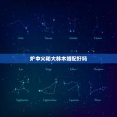 炉中火和大林木婚配好吗，大林木和炉中火相配吗