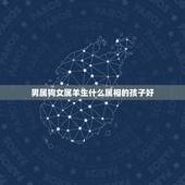 男属狗女属羊生什么属相的孩子好，男的属羊和女的属狗生个什么属相最好？