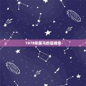 1978年属马的是啥命，1978年属马是什么命