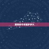 属狗的今年虚岁多大，属鸡的今年虚岁多大了