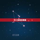 十二生肖合婚表，12生肖排序婚配表