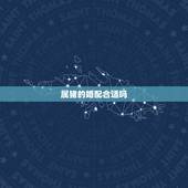 属猪的婚配合适吗，属马的和属猪的配吗